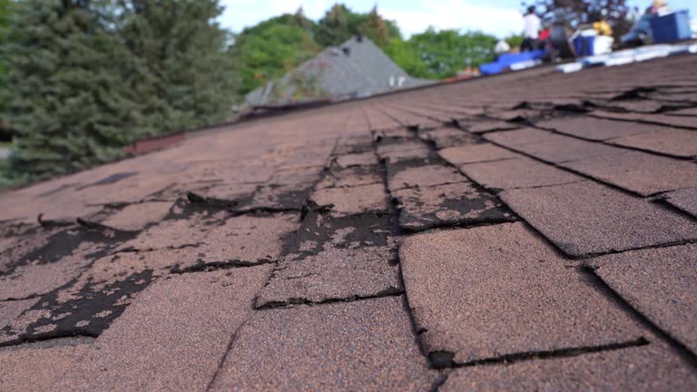 Fast & Reliable Emergency Roof Repairs in Lake Ketchum, WA
